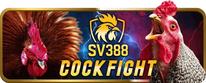Đá gà Việt Nam
